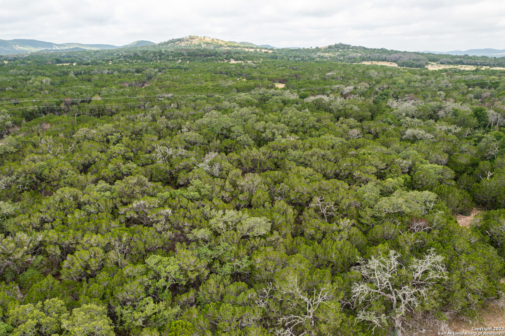 0 Wharton's Dock Road Bandera, TX 78003 - Photo 7 of 51 a view of a lush green forest with trees in the background
