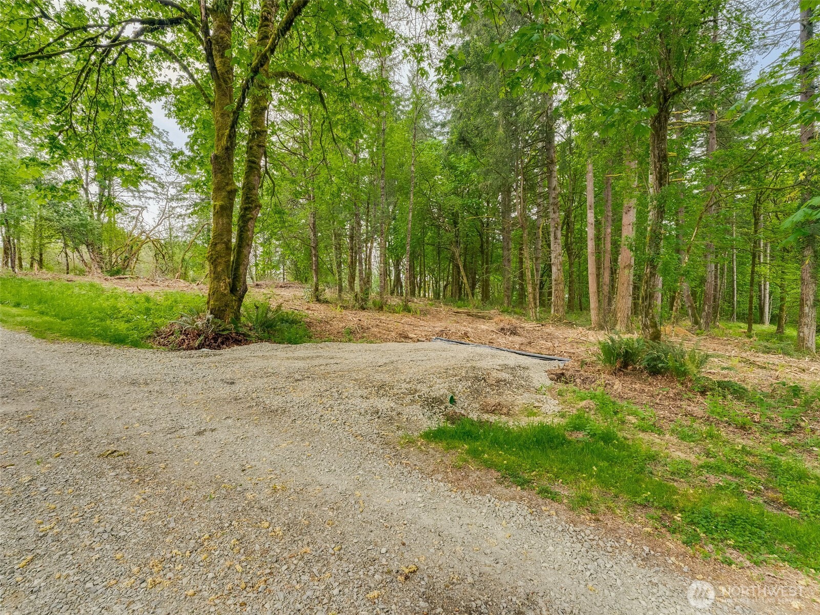 0 Northwest 314th Circle, Unit 50 Ridgefield, WA 98642 - Photo 1 of 21 Gallery Image 1