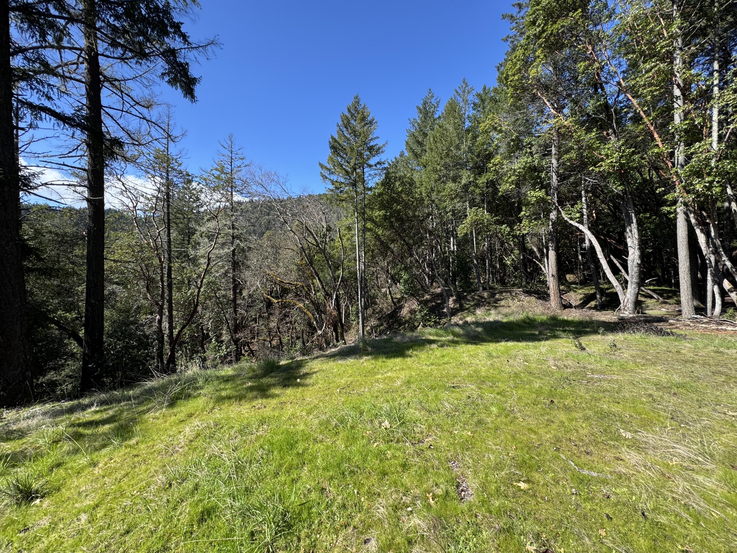 1330 Salyer Loop Road Salyer, CA 95563 - Photo 11 of 26