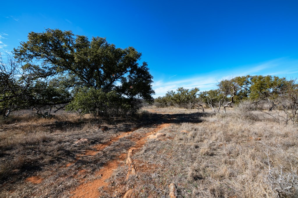 Tbd Hickory Grove Road Pontotoc, TX 76869 - Photo 20 of 28