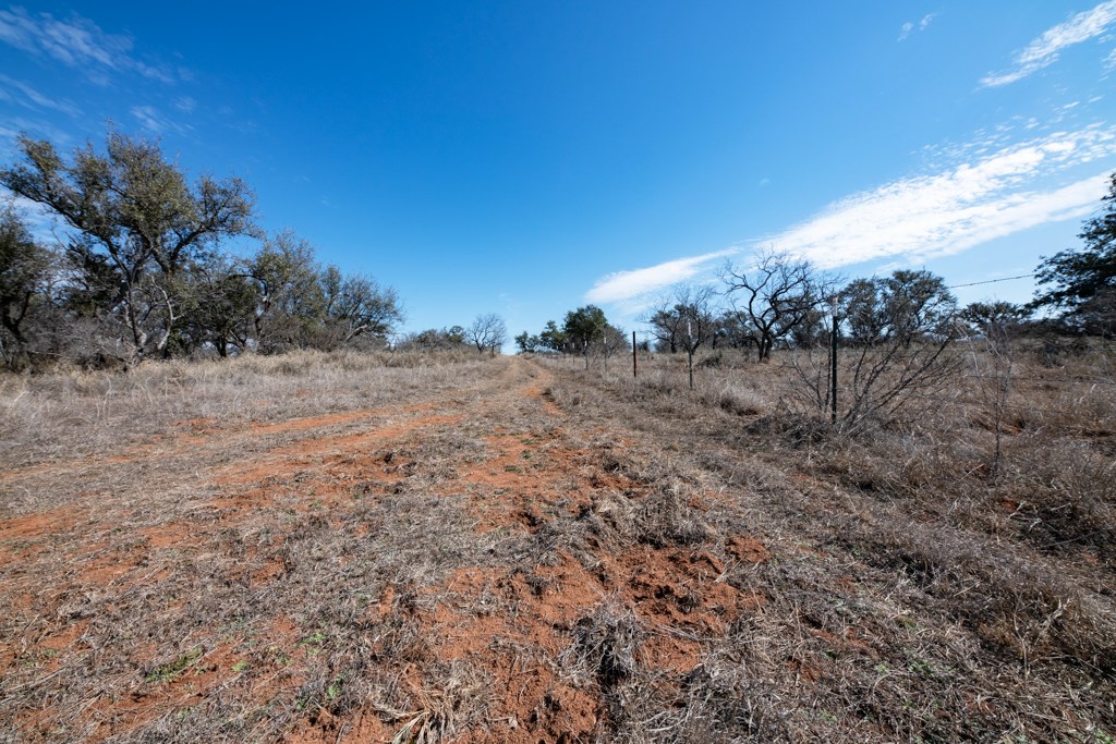 Tbd Hickory Grove Road Pontotoc, TX 76869 - Photo 5 of 28