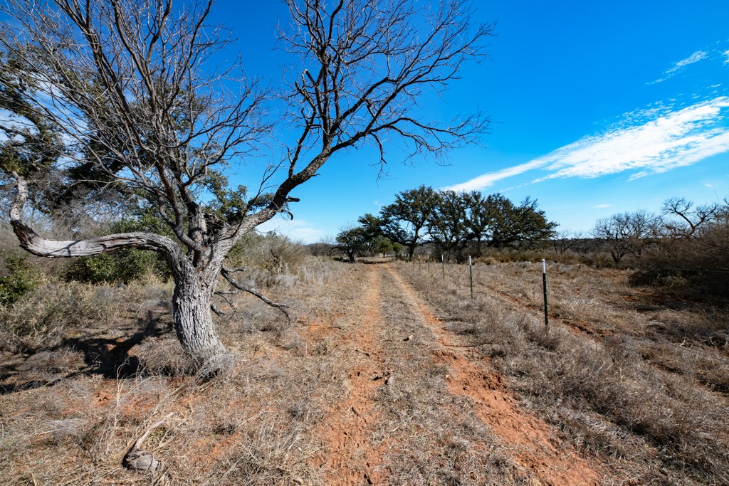 Tbd Hickory Grove Road Pontotoc, TX 76869 - Photo 6 of 28