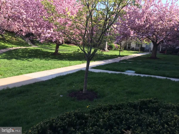 $3,800 | 4920 Bradley Boulevard, Unit 237, Chevy Chase, MD 20815