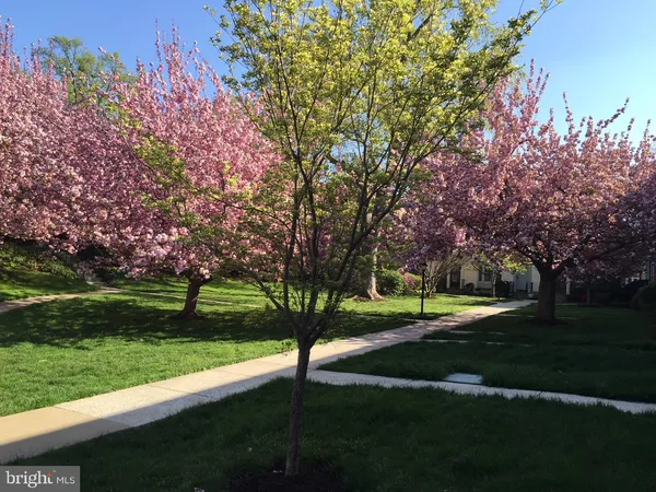 $3,800 | 4920 Bradley Boulevard, Unit 237, Chevy Chase, MD 20815