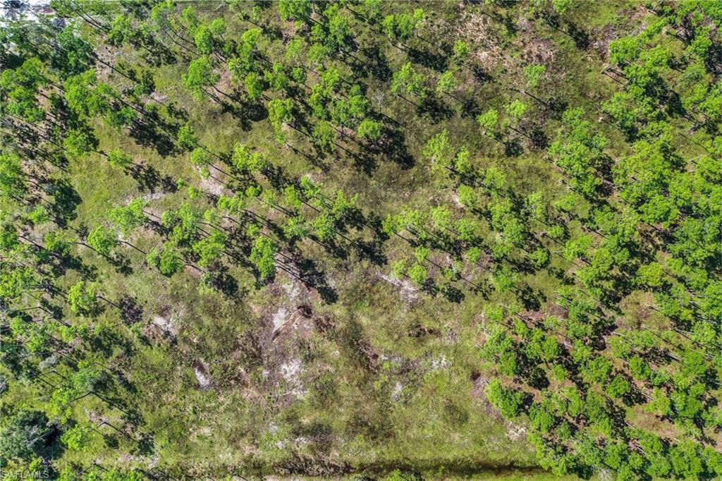 21091 Six Ls Farm Road Estero, FL 33928 - Photo 7 of 9 Gallery Image 7