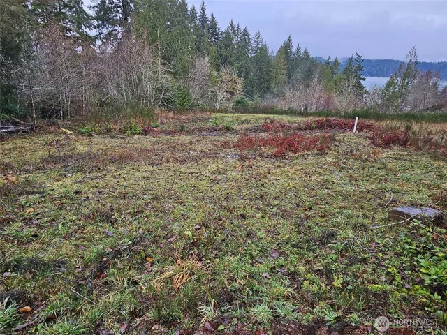 a view of outdoor space with trees all around