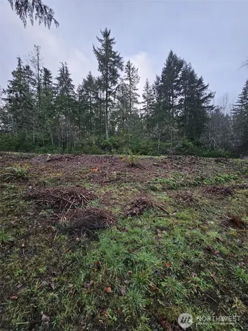a view of dirt field with trees