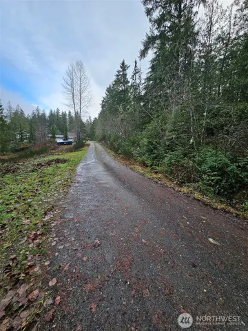 a view of a yard with a tree