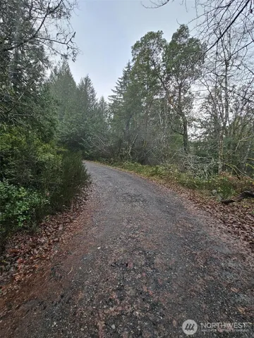 a view of a yard with a tree