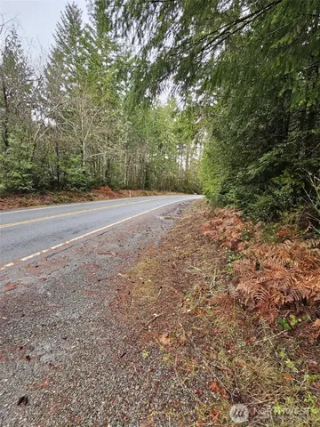 a view of a yard with a trees