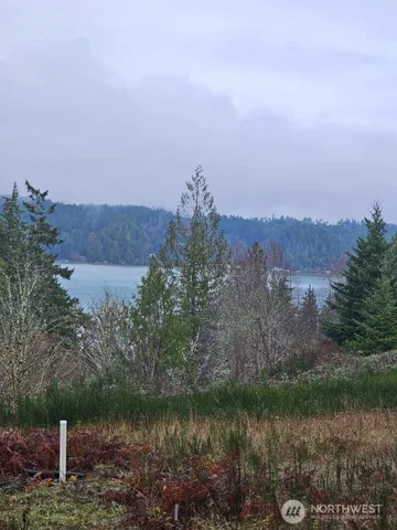 a view of a lake in middle of forest