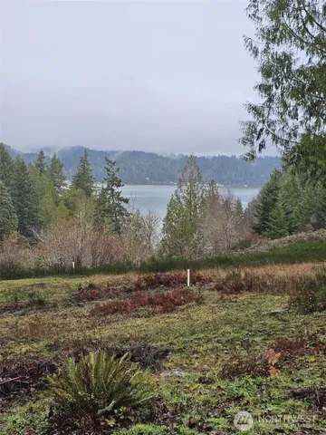 a view of a field with trees in background