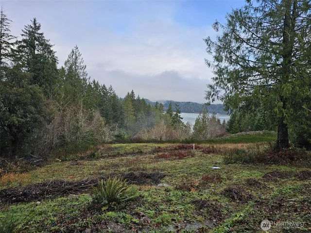 a view of outdoor space with trees all around