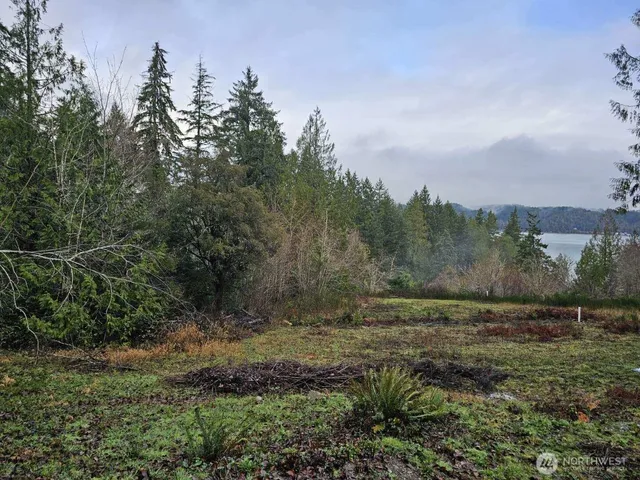 a view of outdoor space with green field and trees all around