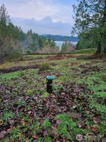 a big yard with lots of green space