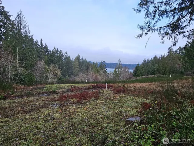 a view of a outdoor space