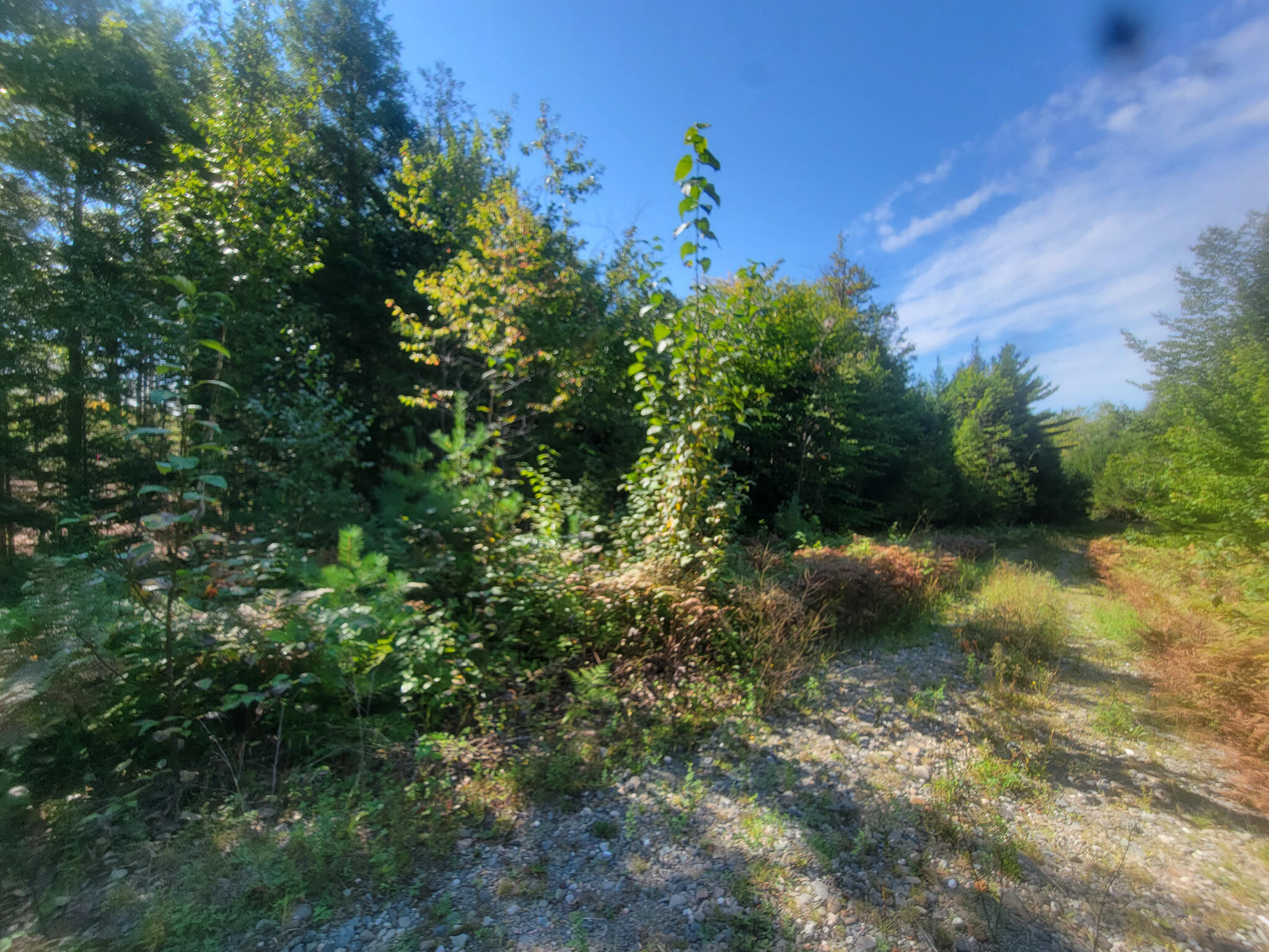 Tbd Tbd Chandler Road Enfield, ME 04493 - Photo 3 of 18 20220908_104529