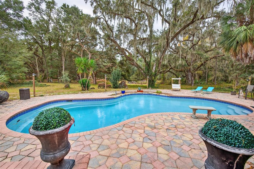 11795 Southwest Highway 484 Dunnellon, FL 34432 - Photo 2 of 51 a view of a swimming pool with a patio