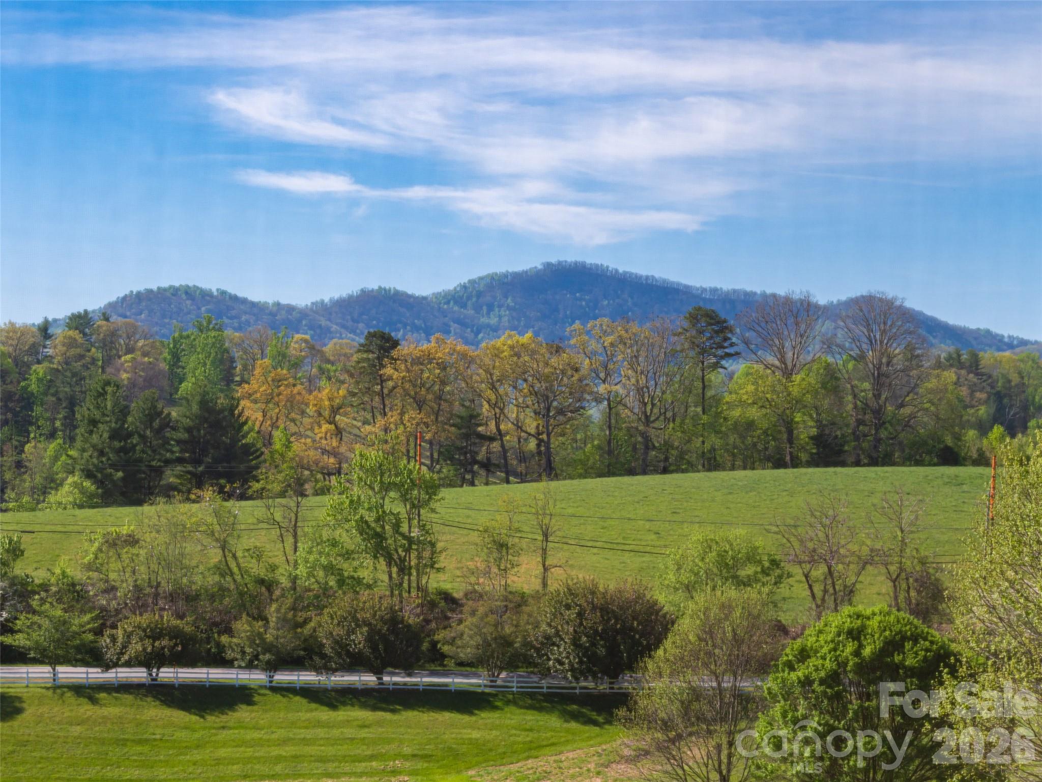 17 Dreambird Road Leicester, NC 28748 - Photo 28 of 48