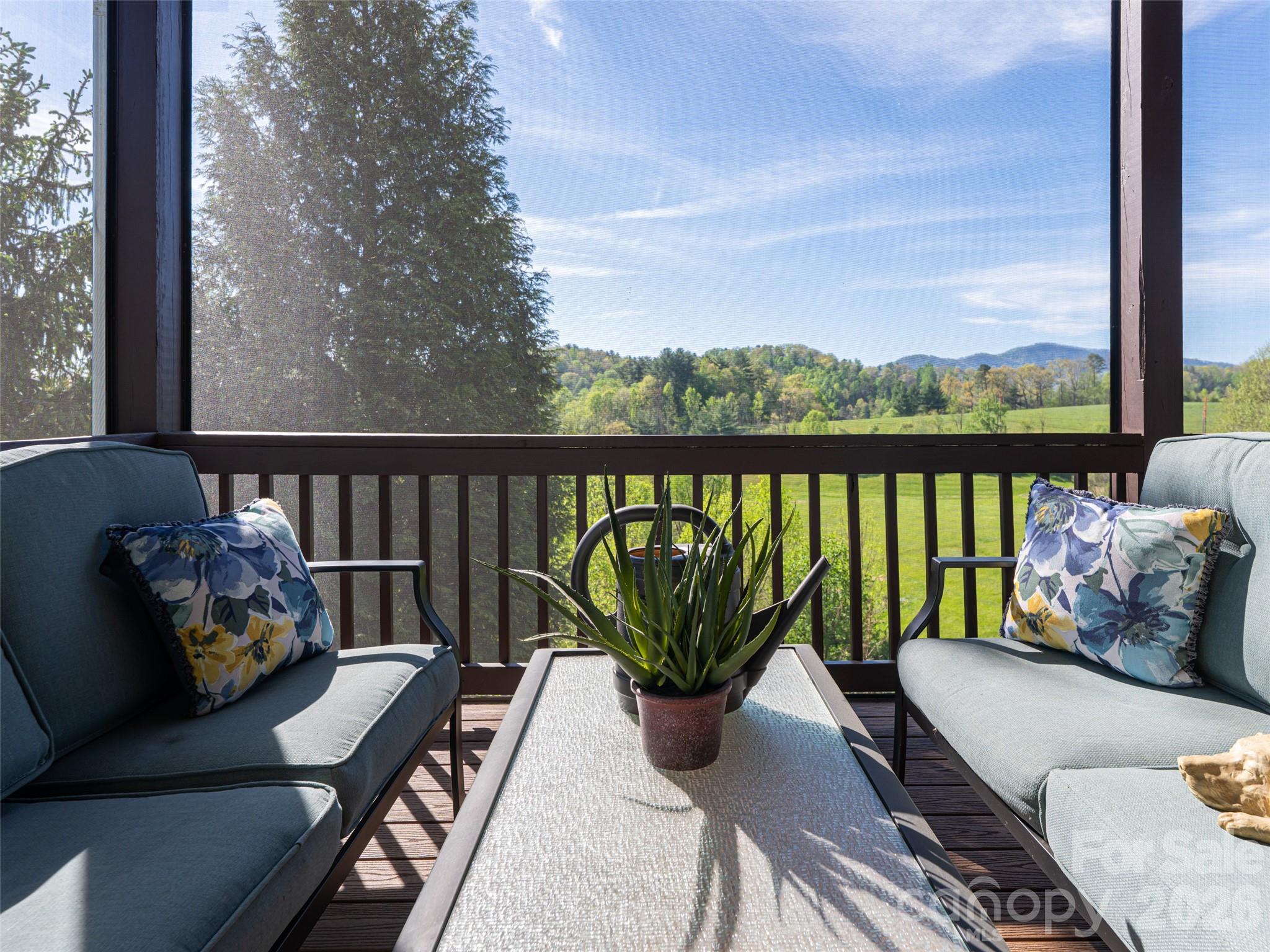 17 Dreambird Road Leicester, NC 28748 - Photo 33 of 48