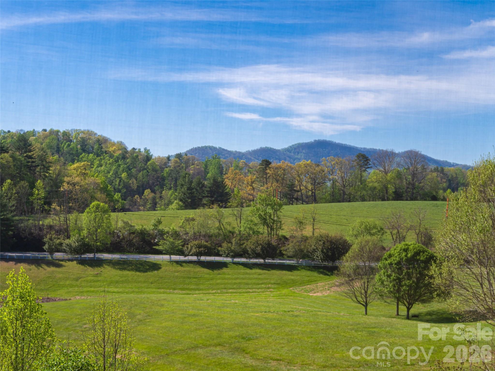 17 Dreambird Road Leicester, NC 28748 - Photo 34 of 48