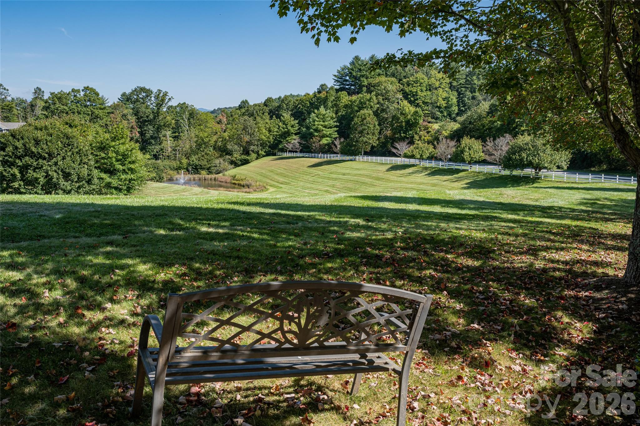 17 Dreambird Road Leicester, NC 28748 - Photo 47 of 48