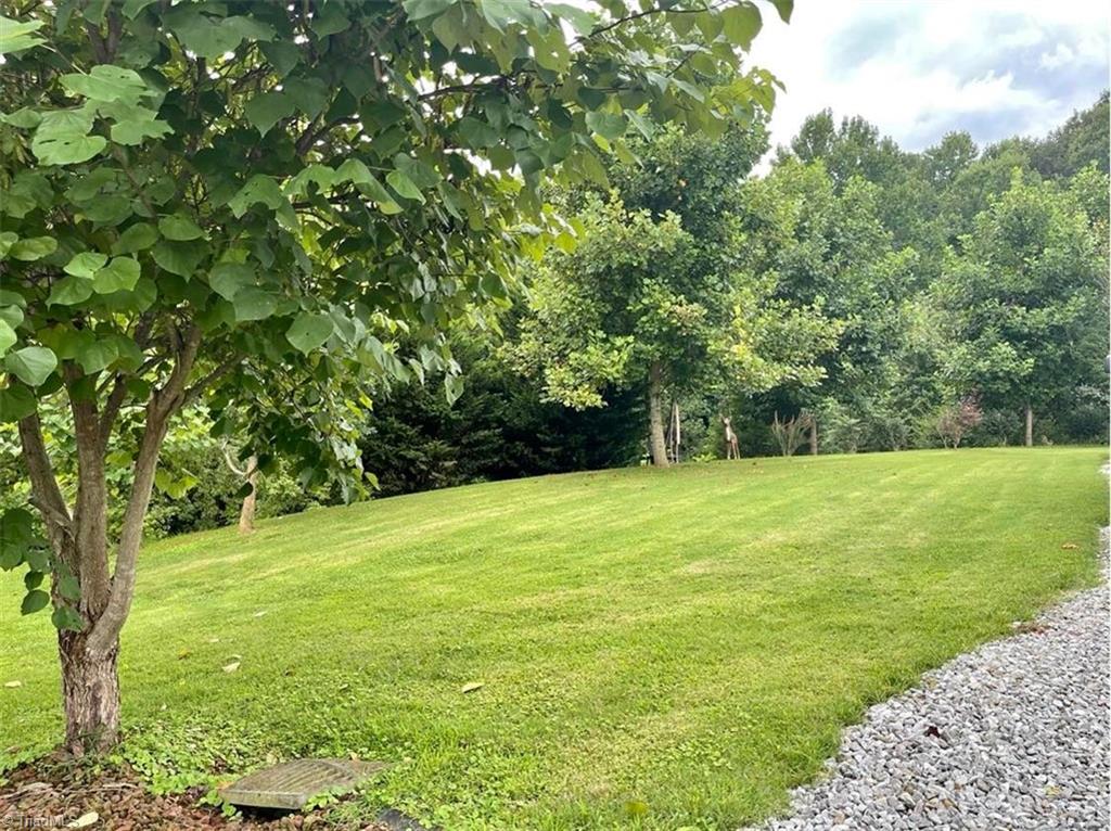 390 Rab Road Purlear, NC 28665 - Photo 18 of 23