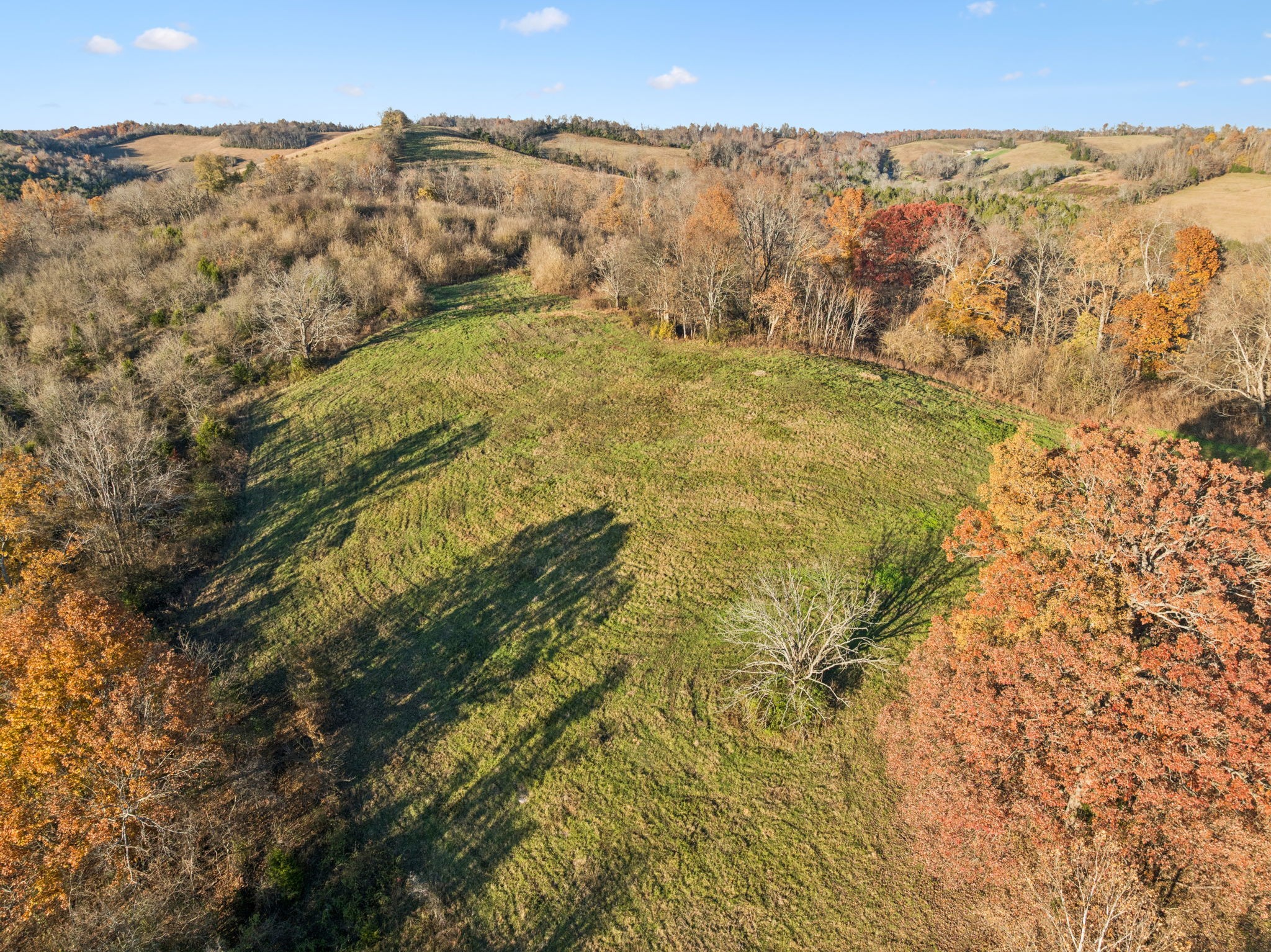 2098 Charity Road Fayetteville, TN 37334 - Photo 11 of 43