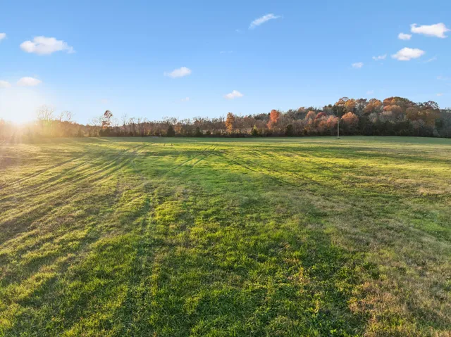 a view of an ocean from a yard