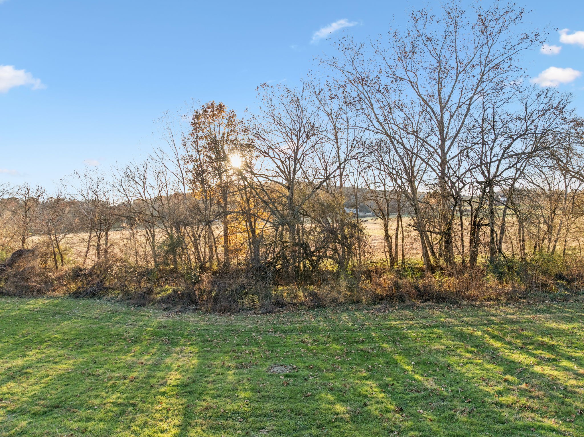 2098 Charity Road Fayetteville, TN 37334 - Photo 21 of 43 a view of backyard with green space
