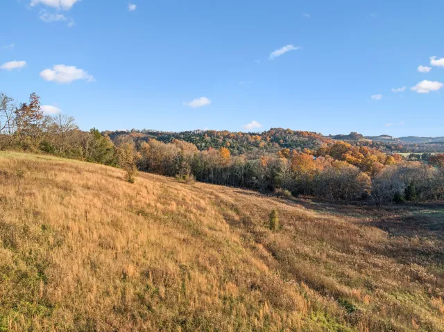 a view of lake with mountain