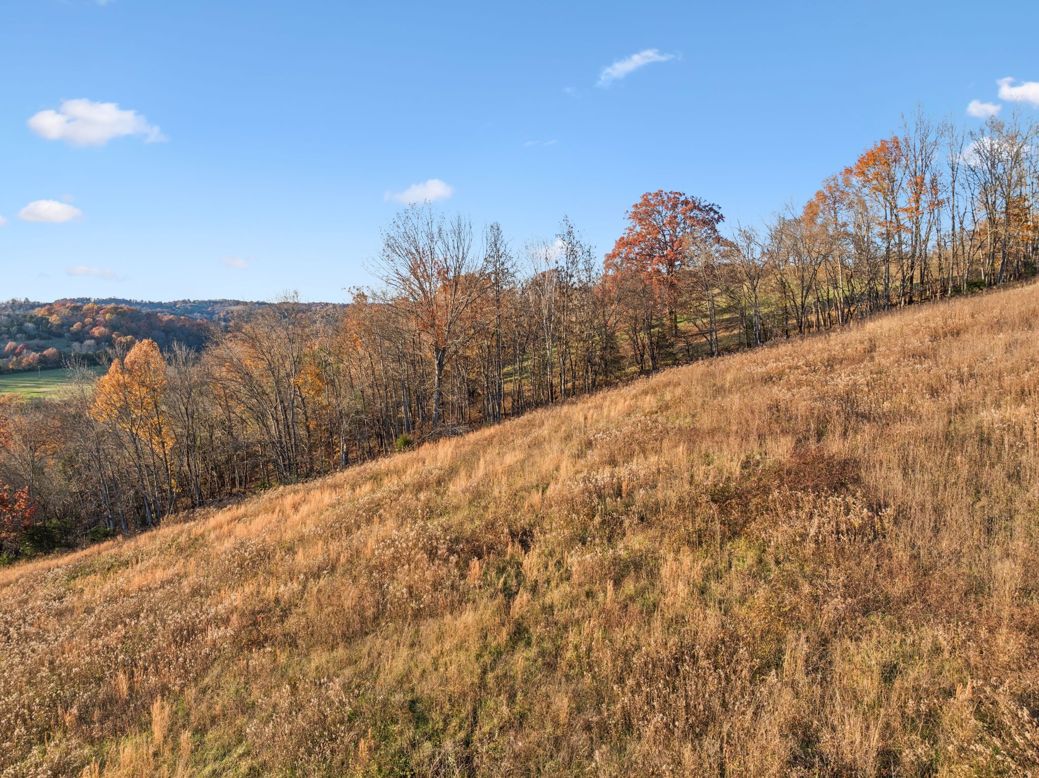 2098 Charity Road Fayetteville, TN 37334 - Photo 26 of 43 a view of a dry yard with mountains in the background