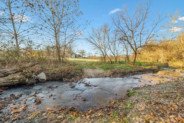 a view of dirt yard with a large tree