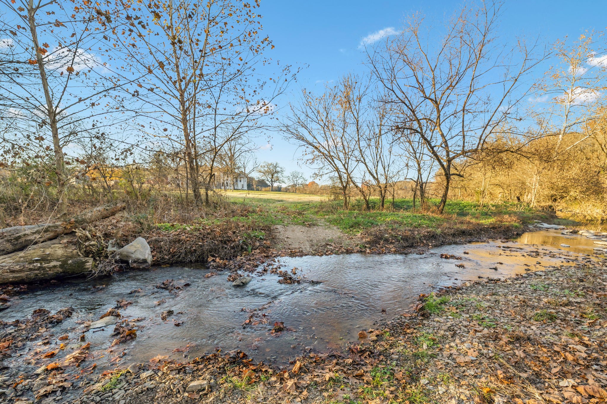 2098 Charity Road Fayetteville, TN 37334 - Photo 4 of 43 a view of dirt yard with a large tree