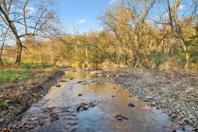 a view of back yard of the house