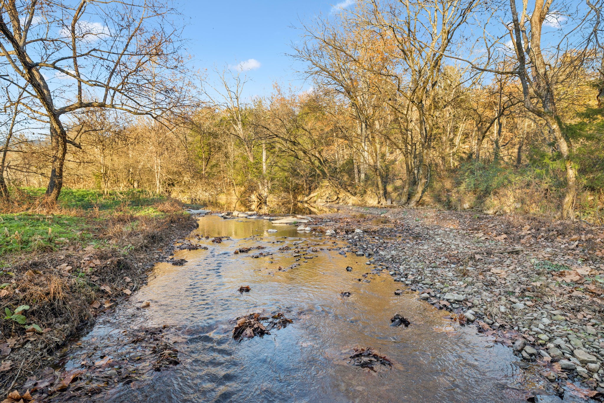 2098 Charity Road Fayetteville, TN 37334 - Photo 5 of 43 a view of back yard of the house