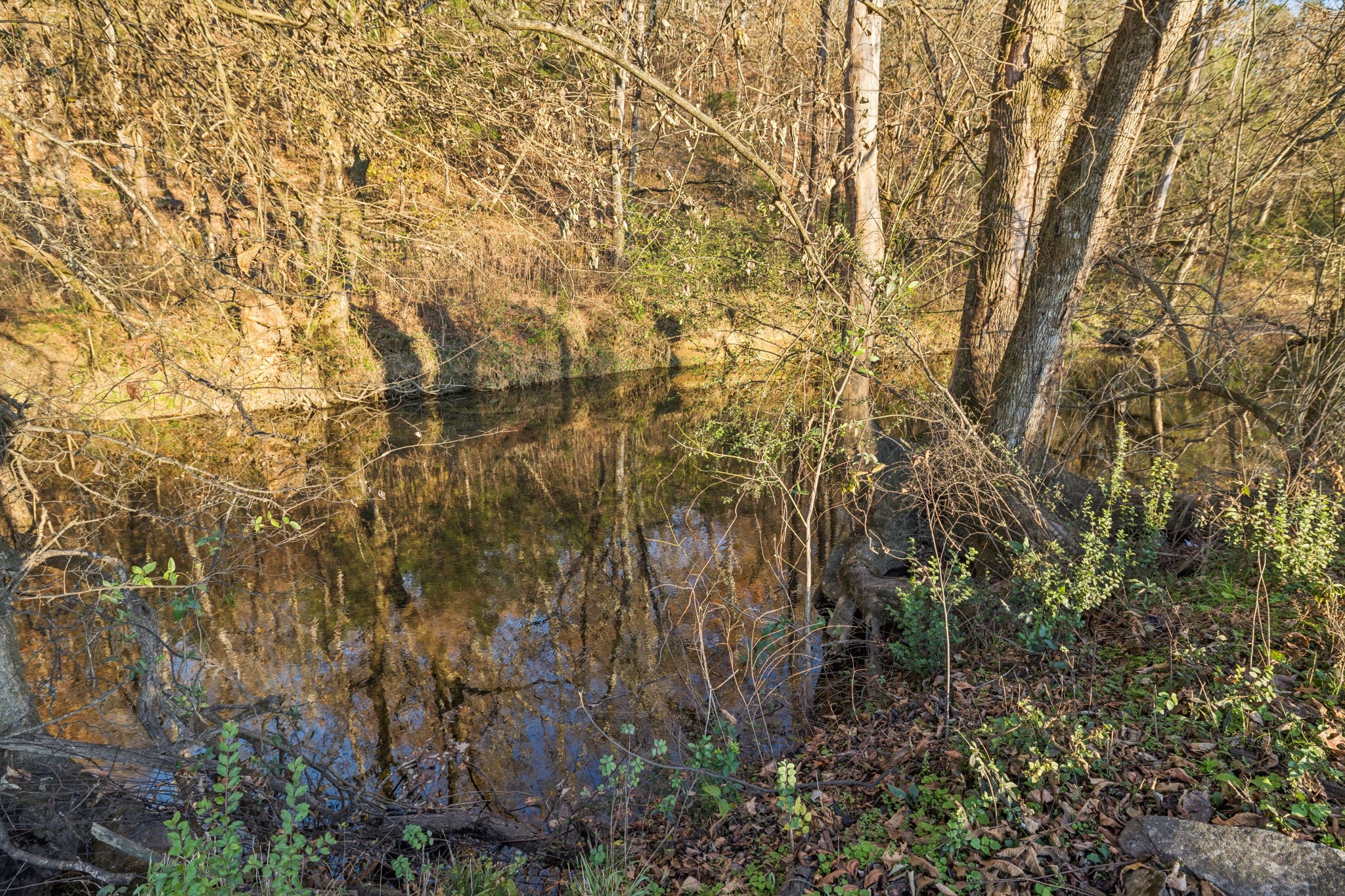 2098 Charity Road Fayetteville, TN 37334 - Photo 6 of 43 a view of a yard