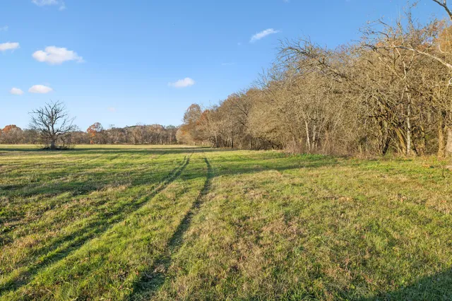 a view of a field with an ocean view