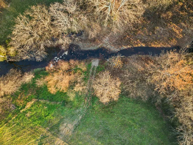 a view of a lake with a yard and large trees