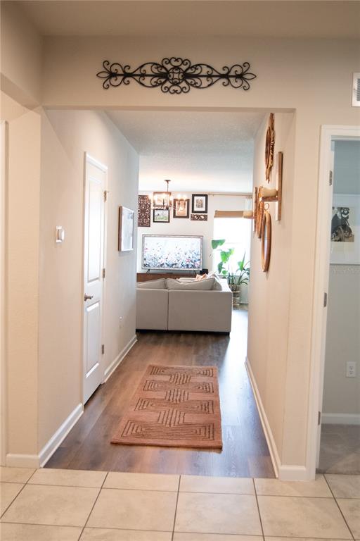 255 August Fern Loop Mount Dora, FL 32757 - Photo 16 of 26
