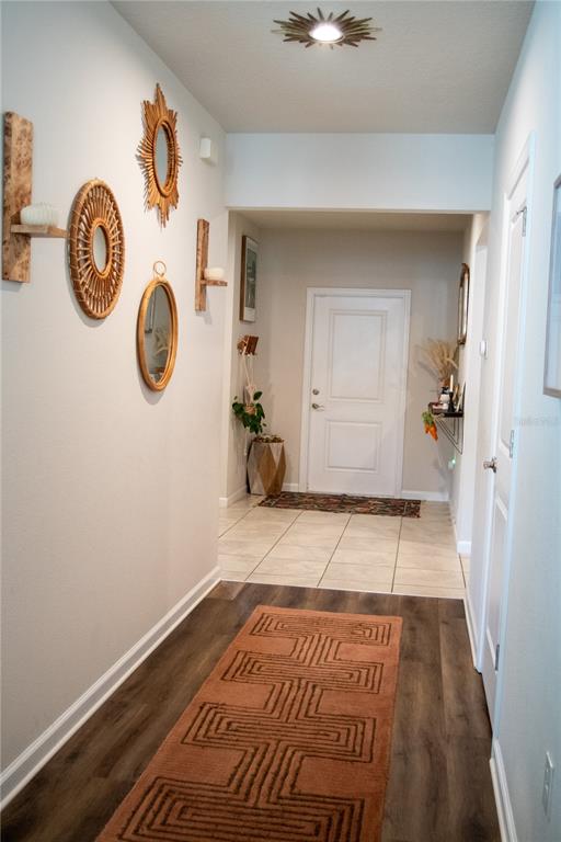 255 August Fern Loop Mount Dora, FL 32757 - Photo 24 of 26