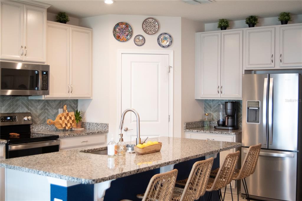 255 August Fern Loop Mount Dora, FL 32757 - Photo 7 of 26