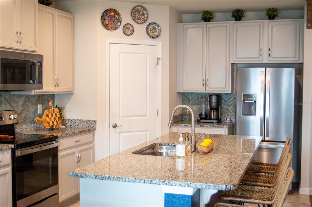 255 August Fern Loop Mount Dora, FL 32757 - Photo 9 of 26