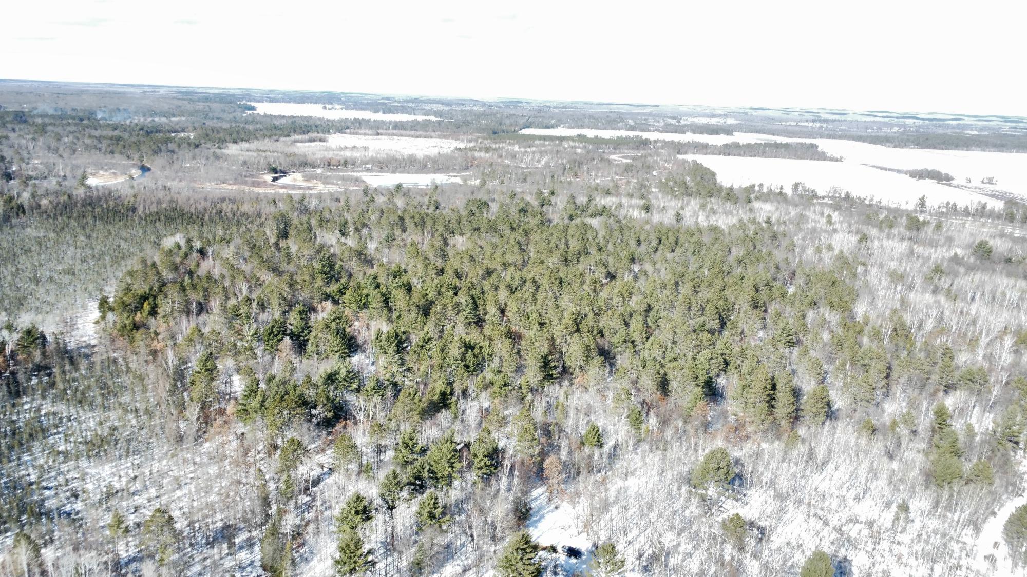 Off Clear Lake Road, Unit 40 ACRES Pearson, WI 54462 - Photo 29 of 29 Gallery Image 29