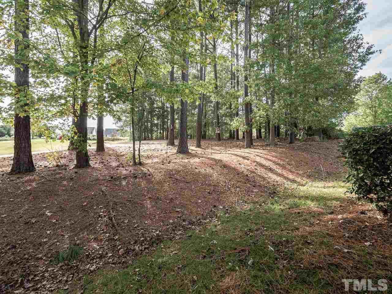 3901 Cathedral Bell Road Raleigh, NC 27614 - Photo 24 of 30 a view of dirt yard with a tree