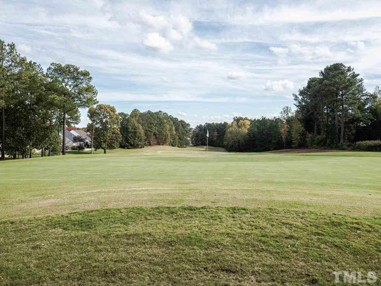 3901 Cathedral Bell Road Raleigh, NC 27614 - Photo 27 of 30 a view of a field with an ocean