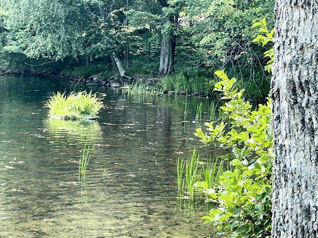 9048 Island View Road Manitowish Waters, WI 54545 - Photo 10 of 70 Gallery Image 10