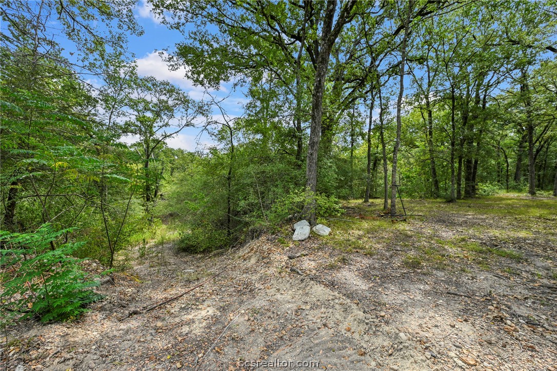 7601 Jones Road College Station, TX 77845 - Photo 26 of 30 Gallery Image 26