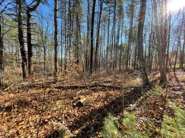 2 Mariner's Way Bath, ME 04530 - Photo 29 of 47 IMG_4611