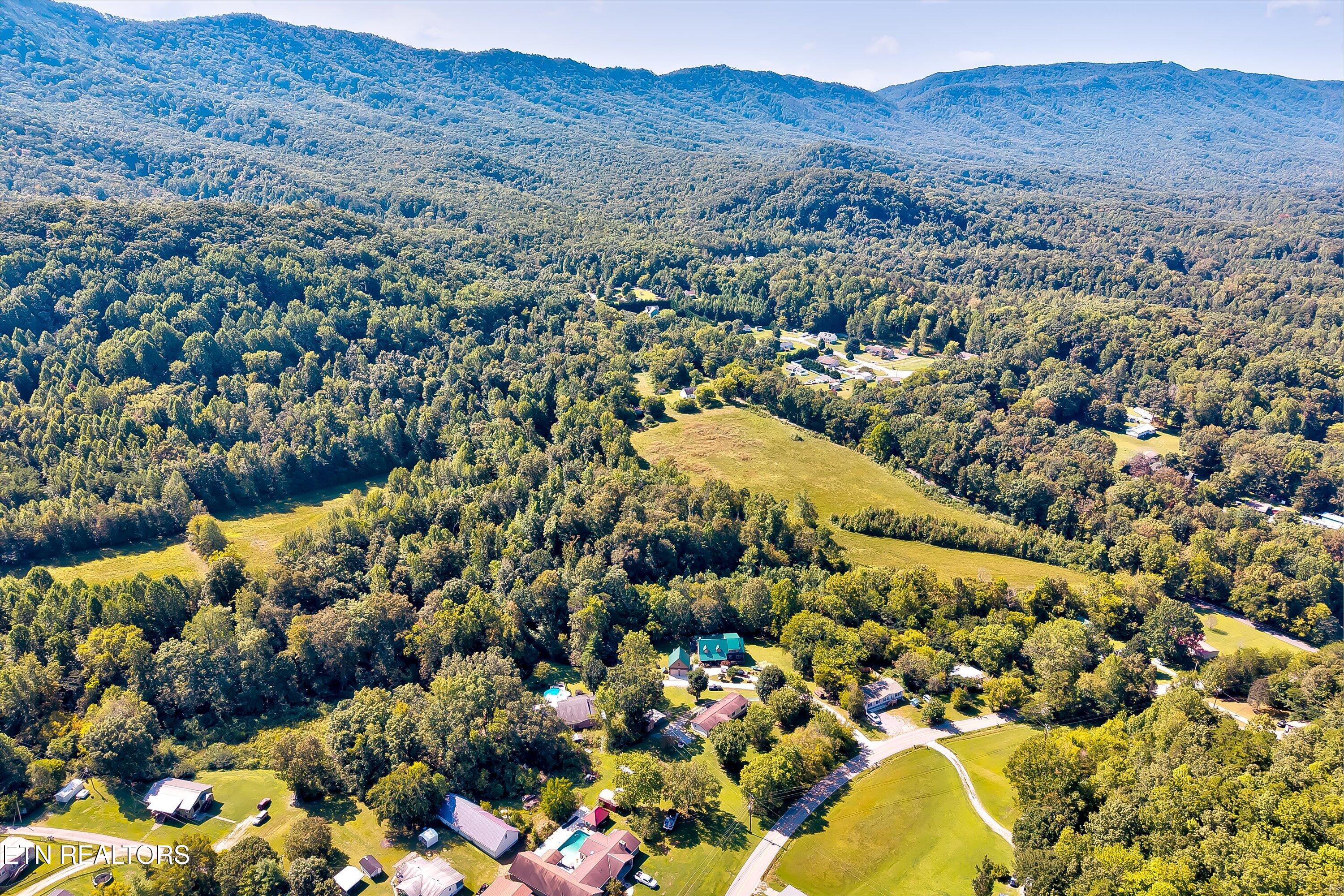 926 Sauls Road Seymour, TN 37865 - Photo 44 of 60 44-926 Sauls Rd-44